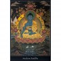 card medicine buddha